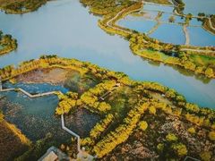 -长兴太湖图影湿地文化园