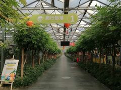 -南宫五洲植物乐园