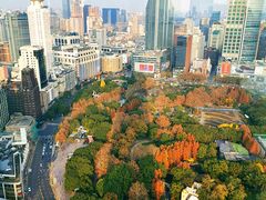 -上海明天广场JW万豪酒店