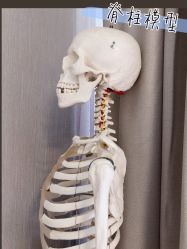 -小林日式·小颜整骨院