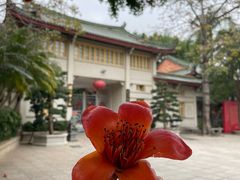 -南普陀寺
