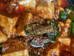 -陈麻婆豆腐总店