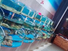 -蓝珊甄选海鲜自助·火锅大排档(近阿那亚店)