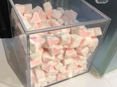 -狐狸和向日葵(北京路店)