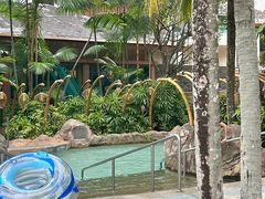 -新加坡水上探险乐园