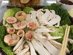 -蔼若春.传承三十年云南菜(金碧公园店)