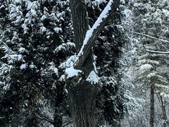 -森林公园(尖草坪区)