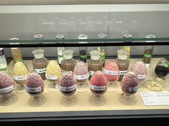 -三五九旅屯垦纪念馆