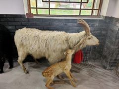 -河北村民俗体验园