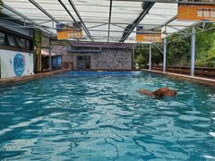 -太阳岛度假酒店