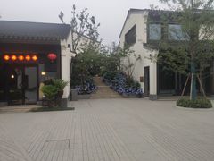 -雅达·阳羡溪山小镇中心