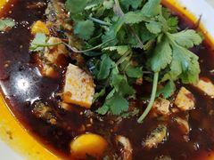 -胖大姐黄辣丁鱼庄(新津店)