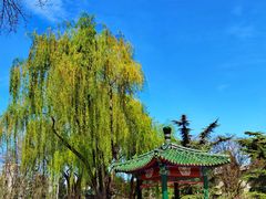 -中国农业博物馆