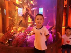 -沈阳海洋探索中心