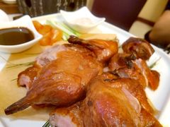 -云腾食府·云南菜