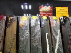 -爱乐蒙艺术·古筝 钢琴 声乐(科华校区)