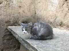 -梁家河村红色旅游区