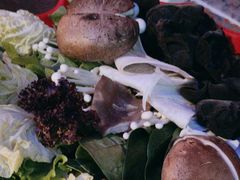 -额尔敦传统涮(公园西路店)