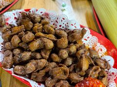 -光明刘冰乳鸽店(光明法政北路店)