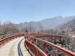 -少华山国家森林公园