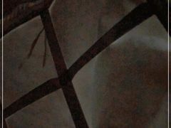-东方之珠洗浴休闲广场(南开店)