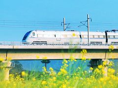 -光明小镇欢乐田园