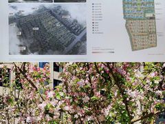 -中粮·祥云小镇