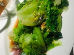 -佬肥猫(国华广场店)