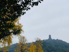 -叶婆婆豆浆馍馍