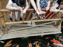 -上海大自然野生昆虫馆(东方明珠·爬宠昆虫探索中心)