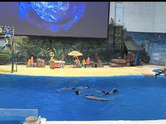 -海合安天津极地海洋公园