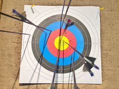 -蓝天射箭馆·专业射箭运动(诚丰广场店)