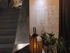 -毛辣果·酸