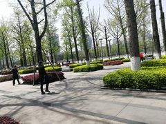 景点-百林公园-两江幸福广场