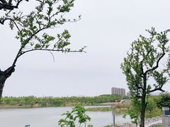-灞河西岸滨河公园