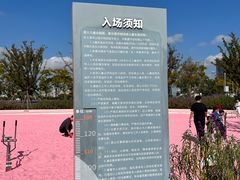 -上海山野camping·户外天幕烧烤·团建拓展营地