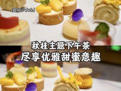 -广州奥园喜来登酒店