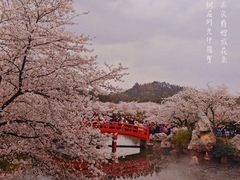 -东湖生态旅游风景区