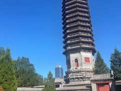 -西海子公园