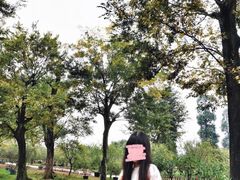 -秀丽东方