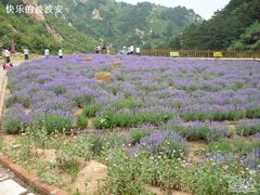 -云峰山自然风景区