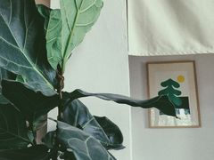 -知亘茶食