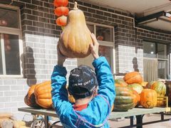 -穆湖渔村饭庄·住宿·钓鱼