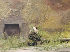-常州淹城野生动物世界