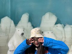 -七彩云南欢乐世界