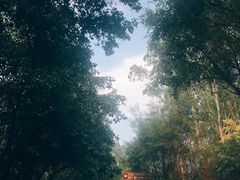 景点-南国桃园旅游度假区