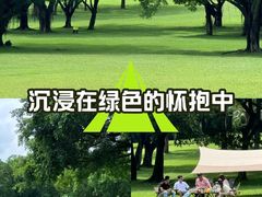 -东莞植物园