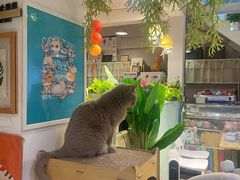 -小时光咖啡馆(北锣鼓巷店)