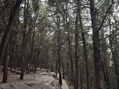 -云龙山