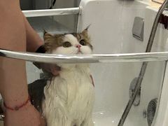 -comecome来吧宠物(奥克斯中心店)